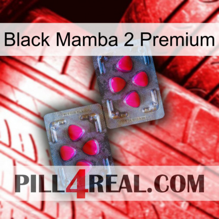 Black Mamba 2 Premium 15